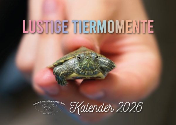 HTV-Kalender 2026